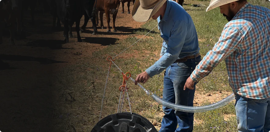 Master Your Grazing Management