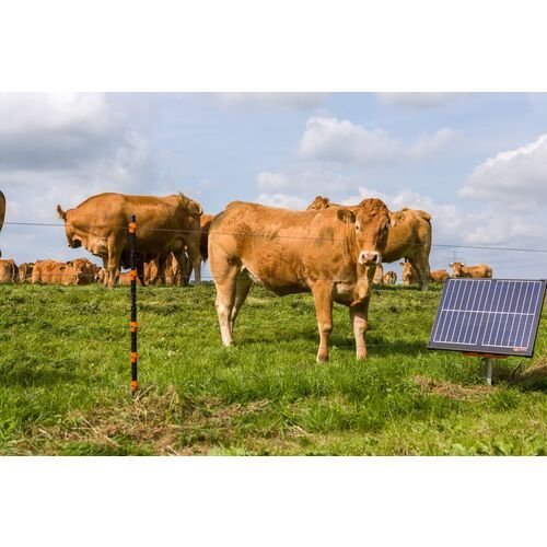 Gallagher S400 Solar Fence Energizer - Image 4